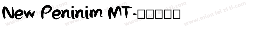 New Peninim MT字体转换